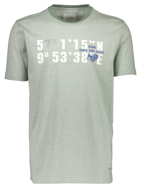 Bison T-shirt 80-400017 GREEN