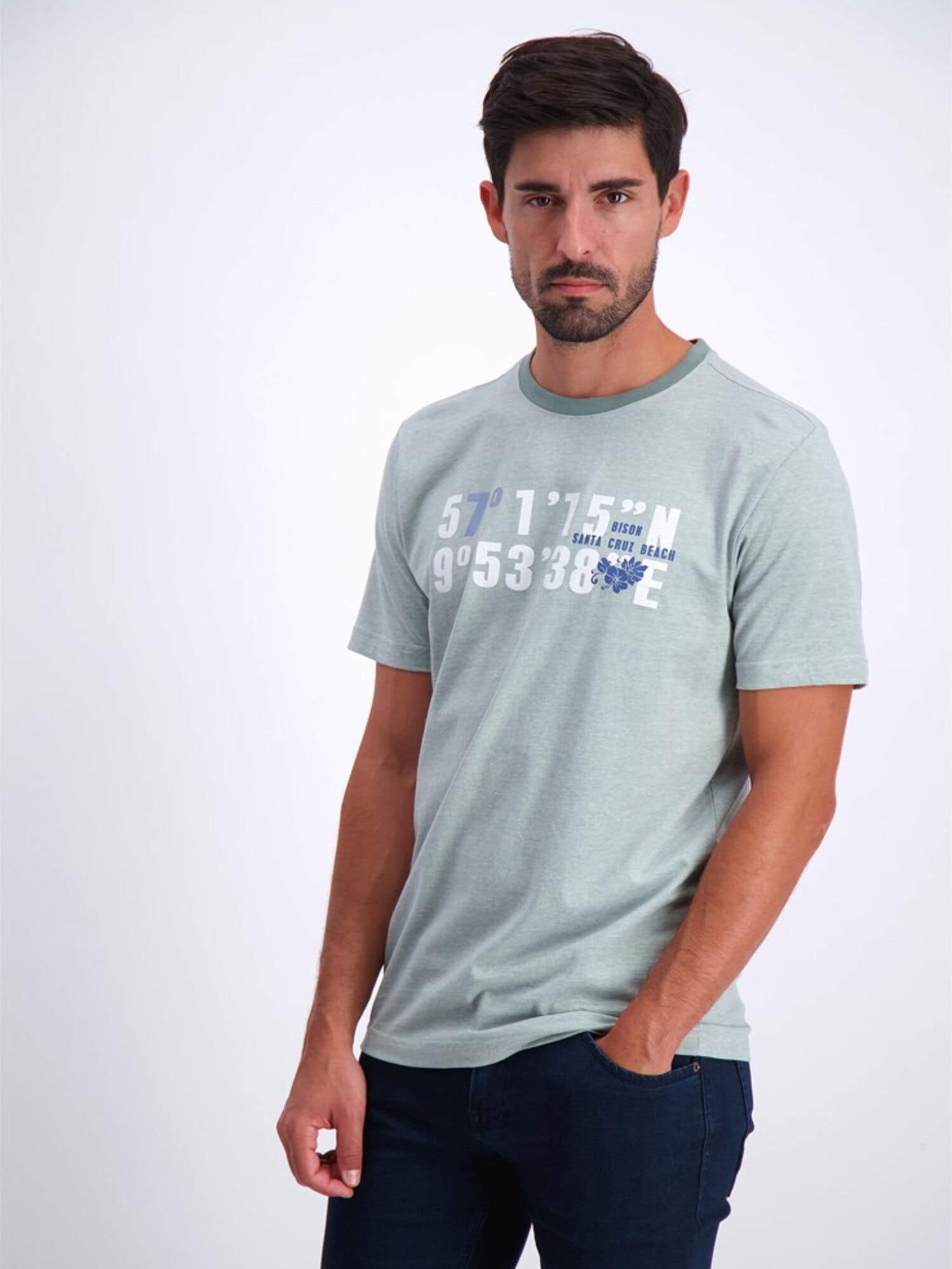 Bison T-shirt 80-400017 GREEN