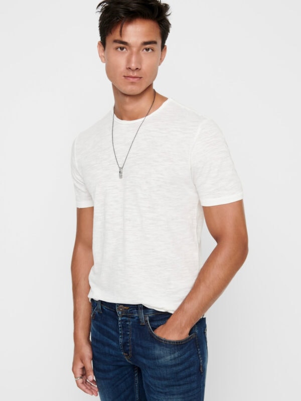 Only & Sons Albert Life New SS Tee White