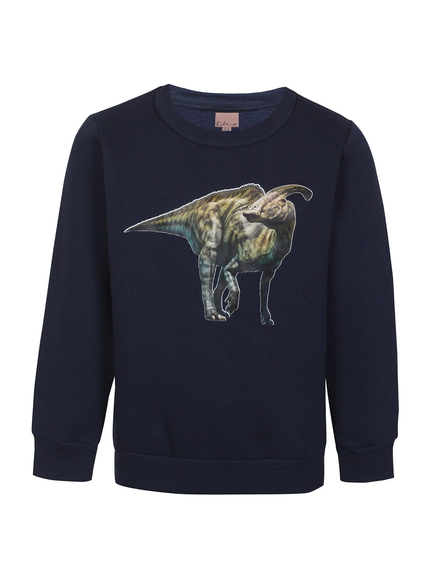 Kids Up Sweatshirt DINO 66 Parasaurolophus Navy