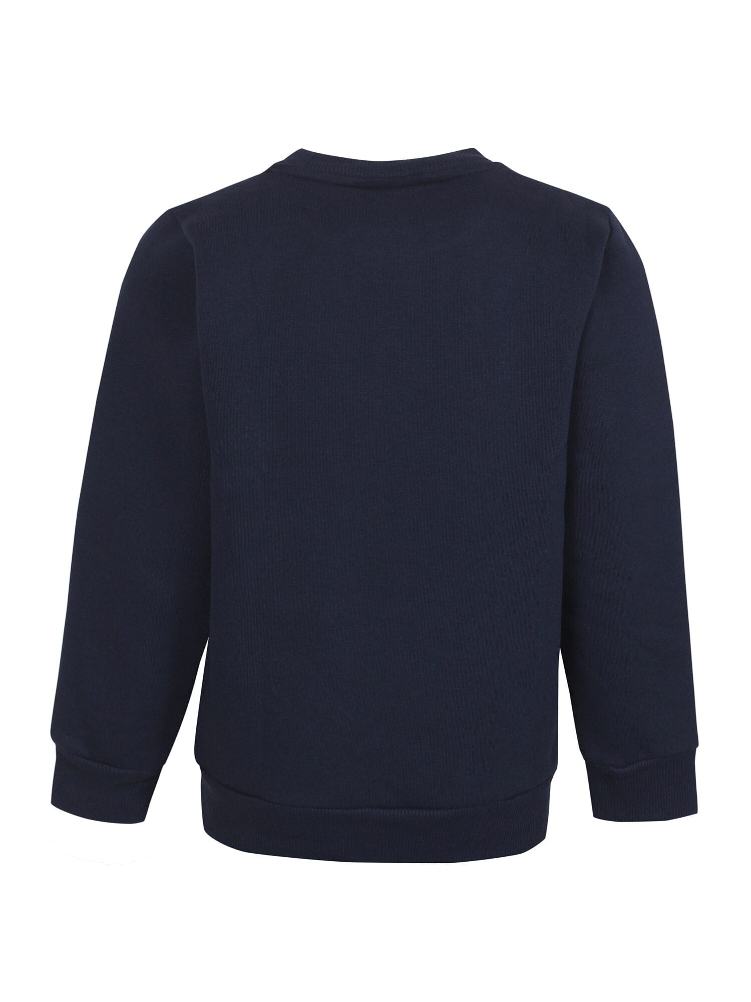 Kids Up Sweatshirt DINO 66 Parasaurolophus Navy