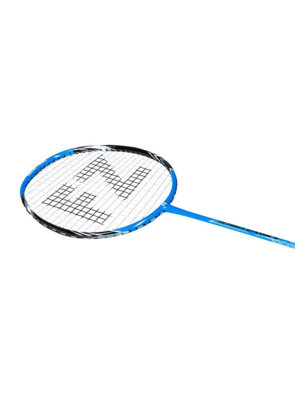 FZ FORZA Dynamic 8 Racket Badmintonketcher Blue Aster