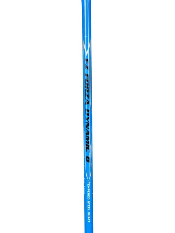 FZ FORZA Dynamic 8 Racket Badmintonketcher Blue Aster