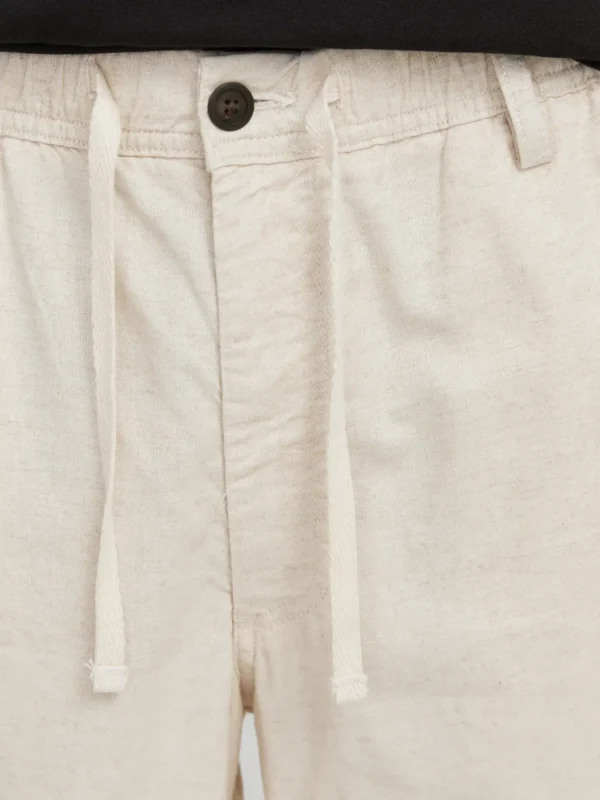 Jack & Jones JPSTJAIDEN CAMPAIGN HYBRIDBONDISHORT SRT Shorts Moonbeam